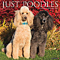 Willow Creek Press Animals Monthly Wall Calendar, 12" x 12", Just Poodles, January to December 2022, 19276 1 thumbnail image
