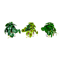 Nearly Natural 8”H Artificial Mixed Greens With Ceramic Planters, 8”H x 6”W x 6”D, Green/White, Set Of 3 Mixed Greens 1 thumbnail image