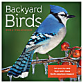 2024 TF Publishing Animals Monthly Mini Wall Calendar, 7” x 7”, Birds, January To December 1 thumbnail image