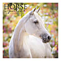 Willow Creek Press Animals Monthly Wall Calendar, 12" x 12", Horse: A Portrait, January To December 2020 1 thumbnail image