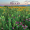 Brown Trout Monthly Regional Wall Calendar, 24" x 12", Wild & Scenic Illinois, January to December 2022, 9781975438869 1 thumbnail image