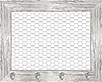 PTM Images Expressions Framed Wall Art, Chicken Wire, 24"H x 30"W, White