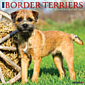 2024 Willow Creek Press Animals Monthly Wall Calendar, 12" x 12", Just Border Terriers, January To December