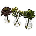 Nearly Natural 5-1/2"H Succulent Arrangements With Glass Vases, Green, Set Of 3 Arrangements