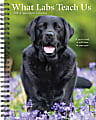 2025 Willow Creek Press Weekly Engagement Planner, 6-1/2" x 8-1/2", What Labs Teach Us, January 2025 to December 2025, 46210 1 thumbnail image