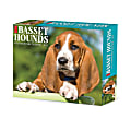 2025 Willow Creek Press Daily Desk Box Calendar, 5-1/2” x 6-1/4", Just Basset Hounds, January to December 2025, 40645 1 thumbnail image