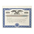 Corporate Stock Certificates, Non-Personalized, 3-Hole Punched, 8 1/2 x 11”, Blue, Box Of 20