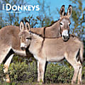2024 BrownTrout Monthly Square Wall Calendar, 12" x 12", Donkeys, January to December