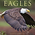 2024 Willow Creek Press Scenic Monthly Wall Calendar, 12" x 12", Eagles, January To December