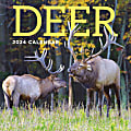2024 TF Publishing Animal Wall Calendar, 12" x 12", Deer, January To December