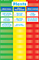 Scholastic Teacher Resources Pocket Chart, 3-Column, 26" x 40", Multicolor, Kindergarten to Grade 5