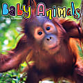 2024 TF Publishing Animal Wall Calendar, 12" x 12", Baby Animals, January To December