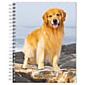 2023-2024 BrownTrout 16-Month Weekly/Monthly Engagement Planner, 7-3/4" x 7-3/16", Golden Retrievers, September To December