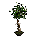 Nearly Natural Ficus Bonsai 24”H Artificial Tree With Decorative Planter, 24”H x 12”W x 12”D, Green/Black