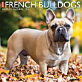 2024 Willow Creek Press Animals Monthly Wall Calendar, 12" x 12", Just French Bulldogs, January To December