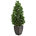 Nearly Natural 56"H UV-Resistant Bay Leaf Cone Topiary Artificial Tree With Planter, 56"H x 24"W x 24"D, Black/Green