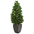 Nearly Natural 56"H UV-Resistant Bay Leaf Cone Topiary Artificial Tree With Planter, 56"H x 24"W x 24"D, Black/Green 1 thumbnail image