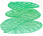 Amscan Vinyl Table Runner, 15" x 38", Banana Leaf 1 thumbnail image