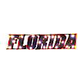Imperial NCAA Lighted Metal Sign, University of Florida, IMP5463126 1 thumbnail image