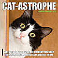 2025 Willow Creek Press Mini Wall Calendar, 7” x 7”, Cat-astrophe, January 2025 To December 2025, 45688 1 thumbnail image