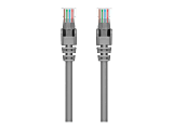 Belkin 1ft CAT6 Ethernet Patch Cable Snagless, RJ45, M/M, Gray - Patch cable - RJ-45 (M) to RJ-45 (M) - 1 ft - UTP - CAT 6 - molded, snagless - gray - for Omniview SMB 1x16, SMB 1x8; OmniView SMB CAT5 KVM Switch