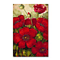 Trademark Global Poppies II Gallery-Wrapped Canvas Print By Masters Fine Art, 22"H x 32"W