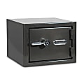 Sanctuary Platinum Biometric Lock Home/Office Safe, 1.07 Cu. Ft., Dark Grey Metallic 1 thumbnail image