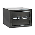 Sanctuary Platinum Biometric Lock Home/Office Safe, 1.07 Cu. Ft., Dark Grey Metallic