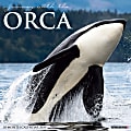 Willow Creek Press Animals Monthly Wall Calendar, Orcas, 12" x 12", January To December 2021 1 thumbnail image
