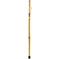 Brazos Walking Sticks™ Free Form Iron Bamboo Walking Stick, 55", Natural