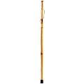 Brazos Walking Sticks™ Free Form Iron Bamboo Walking Stick, 55", Natural 1 thumbnail image