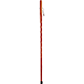 Brazos Walking Sticks™ Twisted Aromatic Cedar Walking Stick, 55"