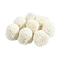 Jelly Belly® Champagne Bubbles, 10-Lb Bag 1 thumbnail image