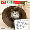 2025 Willow Creek Press Humor & Comics Monthly Wall Calendar, 12” x 12”, Cat Shaming, January To December, 42205 1 thumbnail image