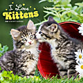 2024 BrownTrout Monthly Square Wall Calendar, 12" x 12", I Love Kittens, January to December