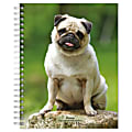 2023-2024 BrownTrout 16-Month Weekly/Monthly Engagement Planner, 7-3/4" x 7-3/16", Pugs, September To December