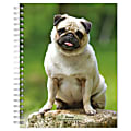 2023-2024 BrownTrout 16-Month Weekly/Monthly Engagement Planner, 7-3/4" x 7-3/16", Pugs, September To December 1 thumbnail image