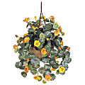 Nearly Natural 22"H Silk Nasturtium With Hanging Basket, Gold