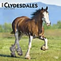2024 BrownTrout Monthly Square Wall Calendar, 12" x 12", Clydesdales, January to December