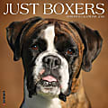 2026 Willow Creek Press Animals Monthly Wall Calendar, 12" x 12", Boxers, January To December, 50378 1 thumbnail image