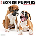 Willow Creek Press Animals Monthly Wall Calendar, 12" x 12", Just Boxer Puppies, January to December 2022, 17098 1 thumbnail image