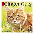 Willow Creek Press Animals Monthly Wall Calendar, 12" x 12", Ginger Cats, January To December 2020