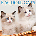 2024 Willow Creek Press Animals Monthly Wall Calendar, 12" x 12", Ragdoll Cats, January To December