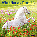 2025 Willow Creek Press Mini Wall Calendar, 7” x 7”, What Horses Teach Us, January 2025 To December 2025, 46036 1 thumbnail image