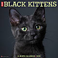 2026 Willow Creek Press Animals Monthly Wall Calendar, 12" x 12", Black Kittens, January To December, 50293 1 thumbnail image