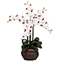 Nearly Natural 31"H Silk Phalaenopsis Arrangement With Decorative Pot, White 1 thumbnail image