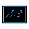 Imperial NFL Spirit Rug, 4' x 6', Carolina Panthers