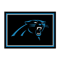 Imperial NFL Spirit Rug, 4' x 6', Carolina Panthers 1 thumbnail image