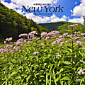 2024 BrownTrout Monthly Square Wall Calendar, 12" x 12", New York Wild & Scenic, January to December