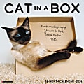 2024 Willow Creek Press Animals Monthly Wall Calendar, 12" x 12", Cat In A Box, January To December